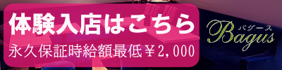 船堀ガールズスナックバグース キャバクラ・ガールズバー・スナック求人サイト ナイトスタイル